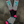 Checkered Riding Sock