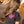 Girls Black Hollywood